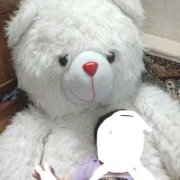 خرس کودک عروسک باصندلی گردان باهم ۷/۴۰۰|اسباب‌بازی بچه|شهرکرد, |دیوار