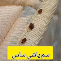 سم پاشی تخصصی و تضمینی منازل با مجوز و ضمانت|خدمات نظافت|تهران, صادقیه|دیوار