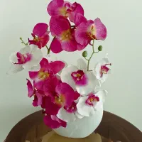 گل ارکیده و گلدان