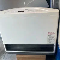 بخاری ژاپنی