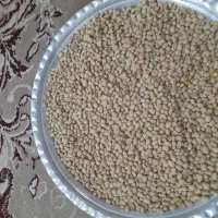 فروش لوبیا و کنجد