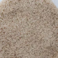 برنج لاشه پشت برنجی  لاشه  نیم دانه