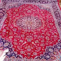 فروش فرش|فرش|بهار, |دیوار