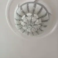 لوستر|لوستر و چراغ آویز|دورود, |دیوار