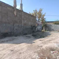 زمین ۱۰۰متری کوچه ۸متری آسفالت کشمیری۱۱|فروش زمین و ملک کلنگی|مشهد, شهید احمدی روشن|دیوار