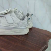 کفش اسپرت|کیف، کفش، کمربند|سبزوار, شرق کال جنوبی (شمس آبادی)|دیوار