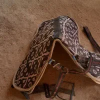 زین اسب|اسب و تجهیزات اسبسواری|گل تپه, |دیوار