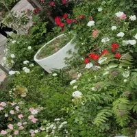 باغ ویلاشیک و منطقه لک لک،کلاکوب،گنبدواز