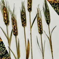 دکوری برنجی مدل خوشه گندم بسته 6 عددی