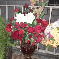 گلهای زیبا و سالم