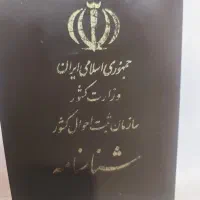 کیف قهوای گم شده