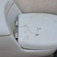 توالت فرنگی