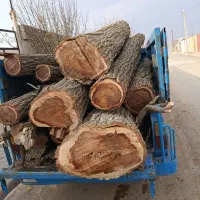 خرید چوب همه رقم