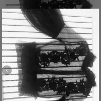 شومیز توری مشکی