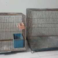 قفس پرنده ۱ عدد