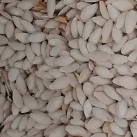 تخمک کدو|عمده‌فروشی|فیروزآباد (فارس), |دیوار