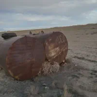 اجاره پنج هکتار زمین|اجارهٔ دفتر صنعتی، کشاورزی، تجاری|شراء, |دیوار