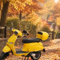وسپا اجاره برای عکاسی پاییزه