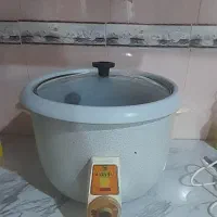 پلوپز برقی