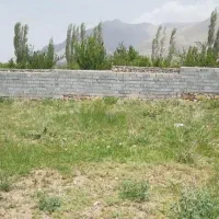 زمین گورک کله بندی