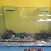 آکواریوم شیشه ای کاملا سالم با پایه ی ام دی اف
