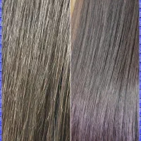 موخوره گیری ( ۱۰۰ درصد تضمینی )