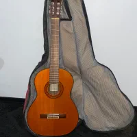 گیتار کلاسیک اصل ژاپن ak80 آریا ariaبه همراه کیس|گیتار، بیس، امپلیفایر|تهران, چیذر|دیوار