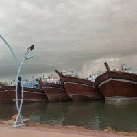 واردات کالا