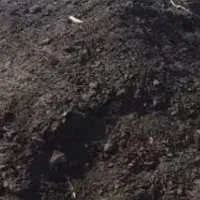 کود گاوی ،گوسفندی،خانه باغچه