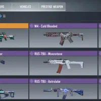 اکانت کالاف دی ال هالیدی قیمت 900