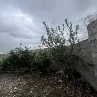 فروش زمین ۱۸۰ متری آلمان|فروش زمین و ملک کلنگی|رشت, فرودگاه سردار جنگل رشت|دیوار