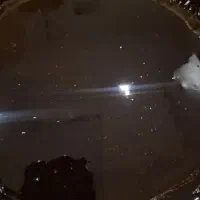 رب انار ملس