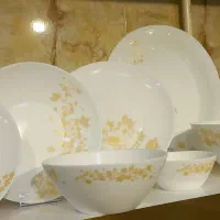 سرویس آرکوپال رایگان جایزه خرید|ظروف سرو و پذیرایی|قم, باغ شریفی|دیوار