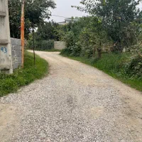 زمین ۳۵۰ متری بافت زرد همراه پروانه ساخت|فروش زمین و ملک کلنگی|شیرود, |دیوار