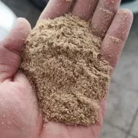 سبوس برنج تناژ موجود