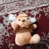 عروسک|اسباب‌‌بازی|اصفهان, شفق|دیوار