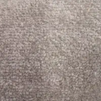 پالاز موکت دو عدد ۱۲ متری|موکت|گرگان, |دیوار