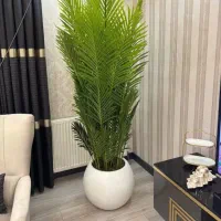 فروش انواع درختچه به قیمت عمده|گل مصنوعی|ساری, |دیوار