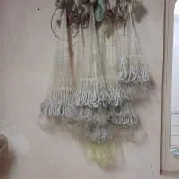 تورچتری