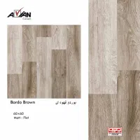 کاگر ساده با سواد