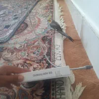 موبایل A54|موبایل|سنخواست, |دیوار