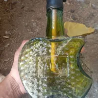 قلیون معاوضه با همه نوع پرنده و مرغ