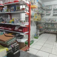 شاگرد پرنده فروشی باز.نشسته هم میتونن باشه