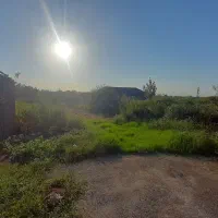 ۲۰۰ متر مربع زمین کشاورزی نسق مرکزشهر رشت،یخسازی|فروش دفتر صنعتی، کشاورزی، تجاری|رشت, یخسازی|دیوار