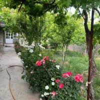 باغ-ویلا-در-باغشن-روستای-دانه-کاشفیه-500-متر