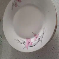 ۶ عدد پلو خوری