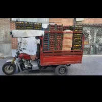موتور سه چرخ