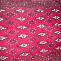 قالی و قالیچه دستی وپشتی دستی|فرش|نیشابور, شهرک بسیج|دیوار