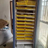 دستگاه جوجه کشی ۱۸۵۰ تایی|لوازم جانبی حیوانات|شهرکرد, |دیوار