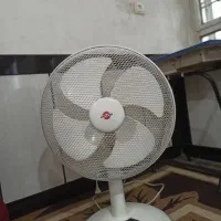پنکه